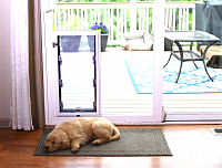 Thru-glass pet door