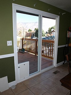 In-Glass Pet Door